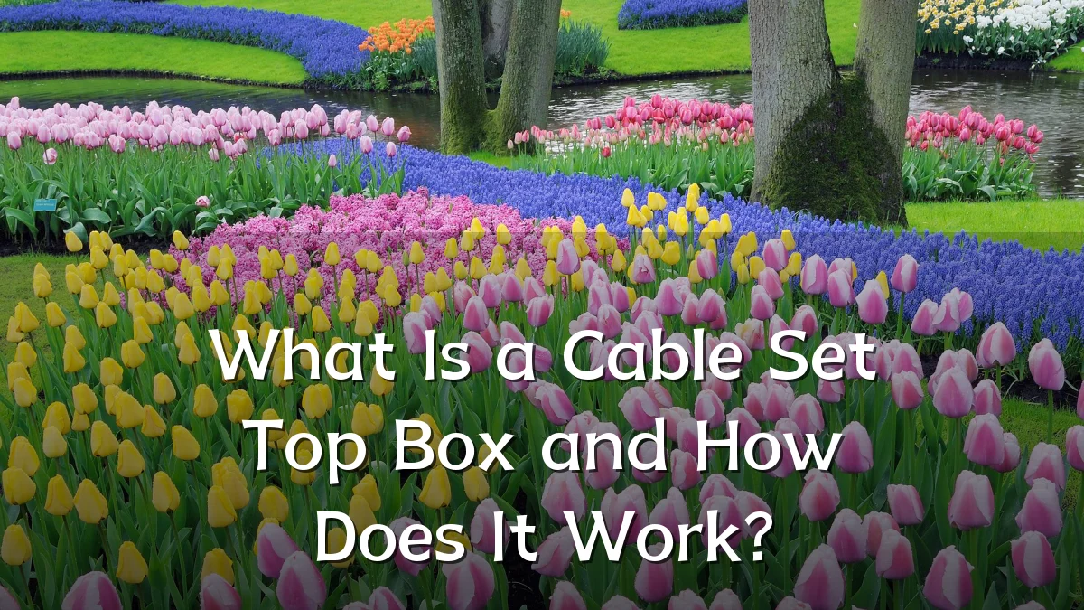 What Is a Cable Set Top Box and How Does It Work?