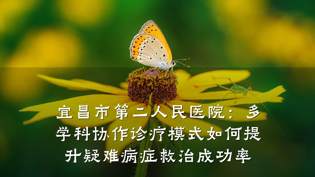 宜昌市第二人民医院:多学科协作诊疗模式如何提升疑难病症救治成功率