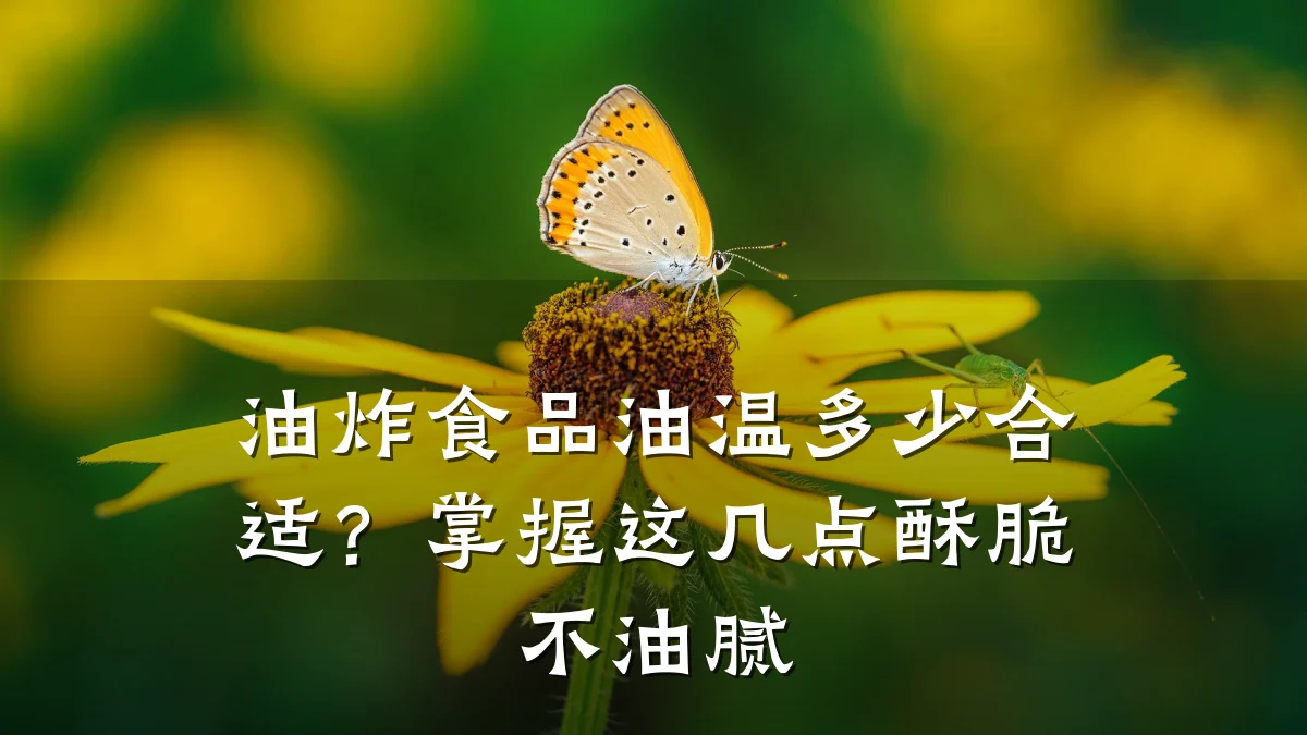 油炸食品油温多少合适?掌握这几点酥脆不油腻
