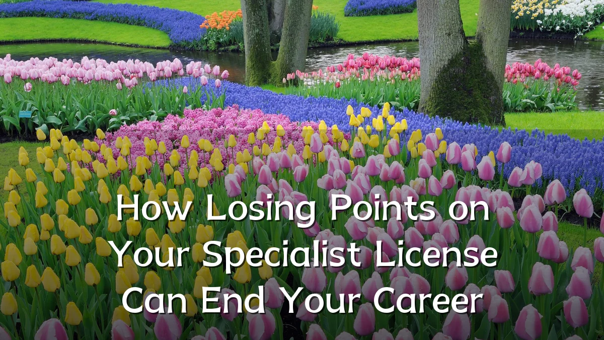 How Losing Points on Your Specialist License Can End Your Career