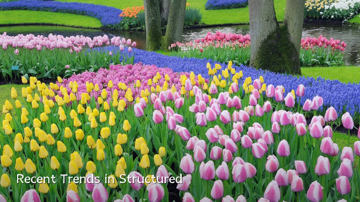 Recent Trends in Structured