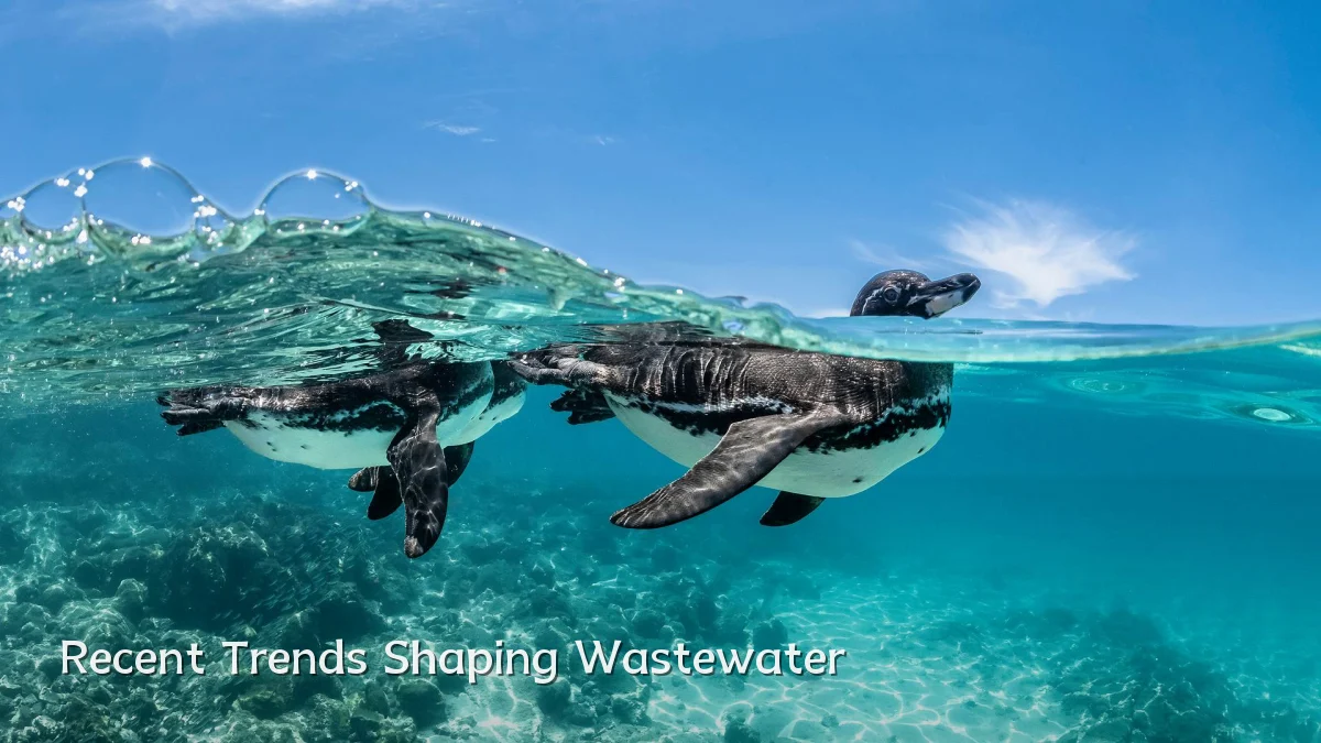 Recent Trends Shaping Wastewater