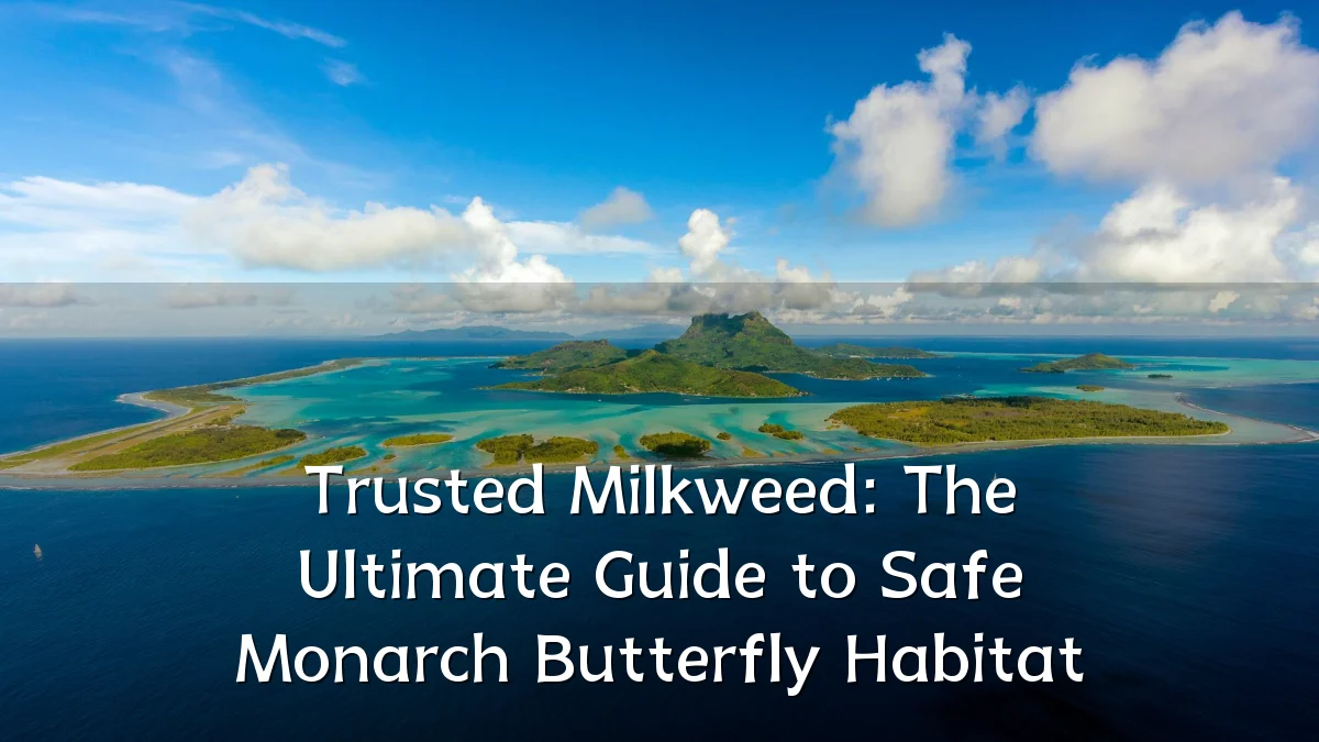 Trusted Milkweed: The Ultimate Guide to Safe Monarch Butterfly Habitat