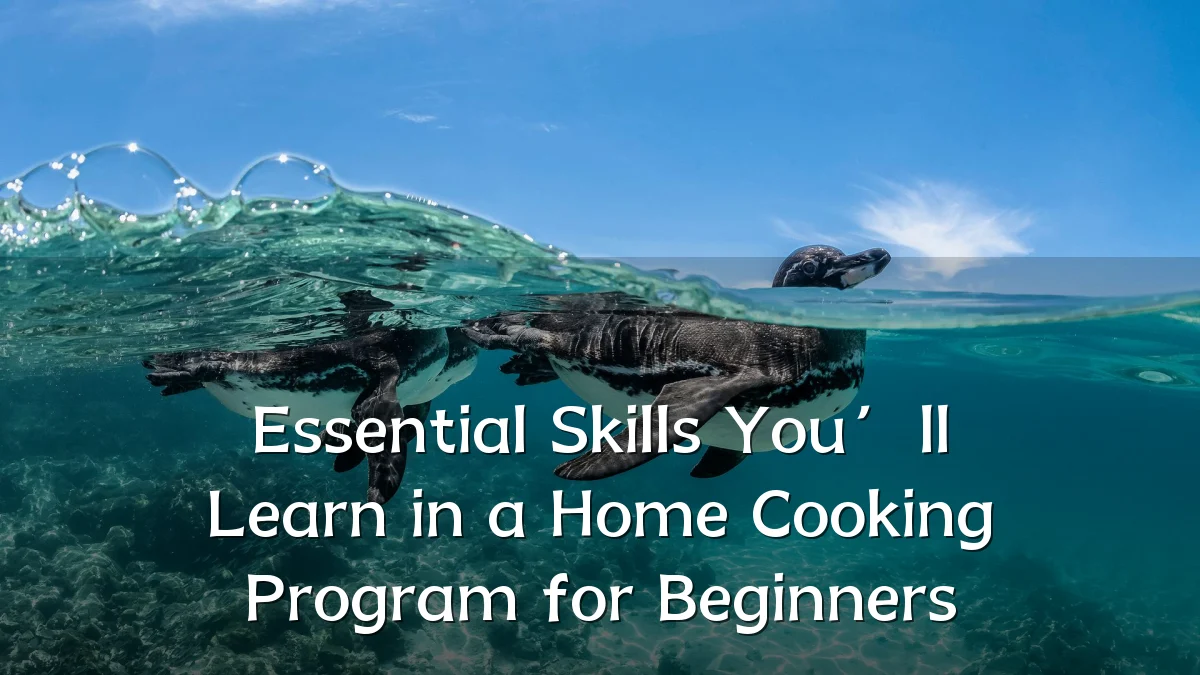 Essential Skills You’ll Learn in a Home Cooking Program for Beginners