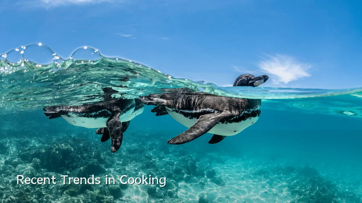 Recent Trends in Cooking