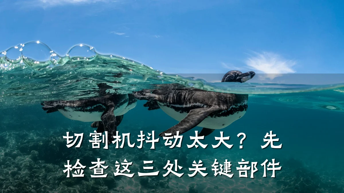 切割机抖动太大?先检查这三处关键部件