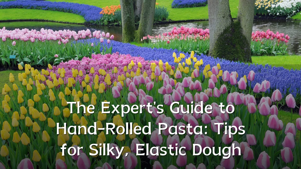 The Expert's Guide to Hand-Rolled Pasta: Tips for Silky, Elastic Dough