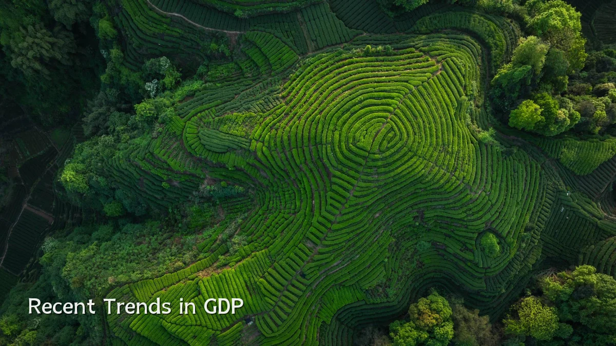 Recent Trends in GDP