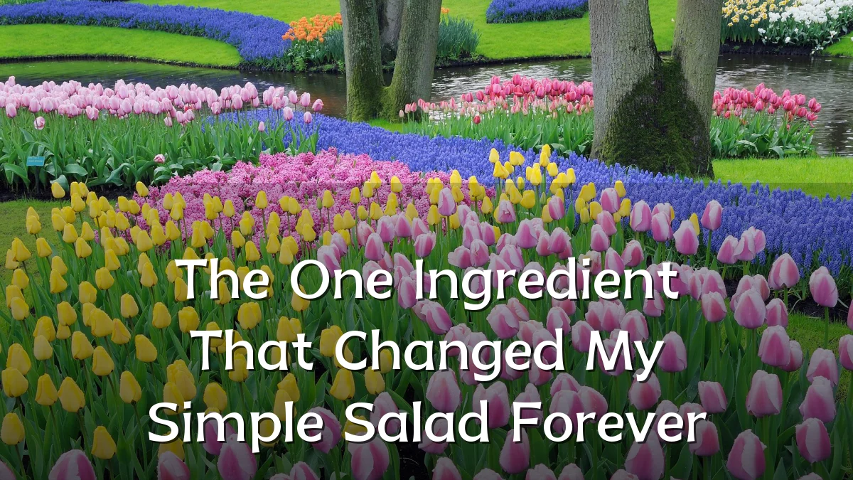 The One Ingredient That Changed My Simple Salad Forever
