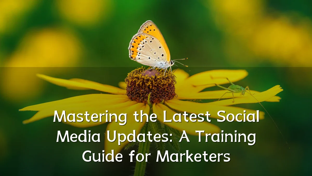 Mastering the Latest Social Media Updates: A Training Guide for Marketers