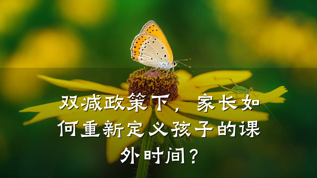 双减政策下，家长如何重新定义孩子的课外时间？