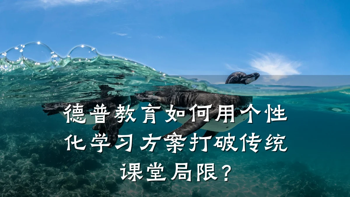 德普教育如何用个性化学习方案打破传统课堂局限？