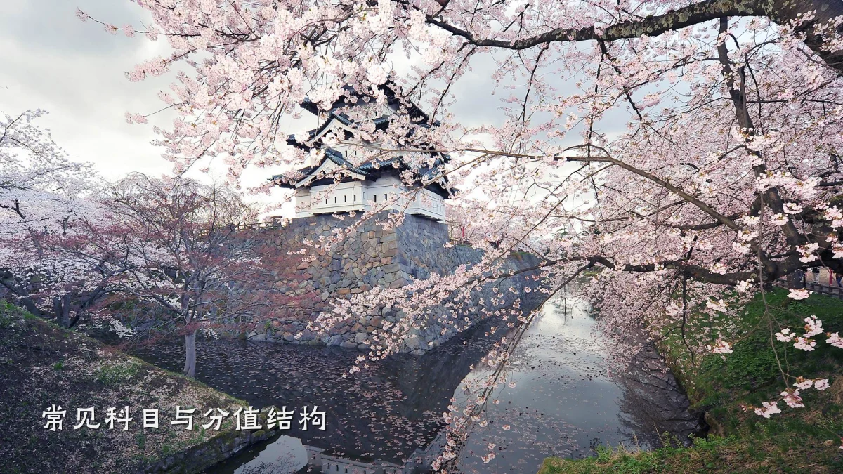 常见科目与分值结构